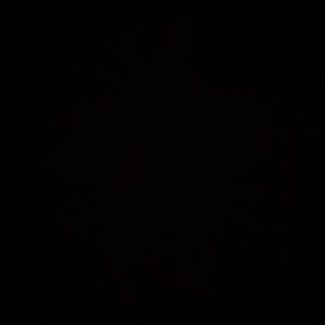 Meet your Posher, Delaney